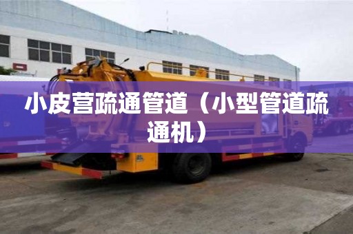 小皮營疏通管道（小型管道疏通機）