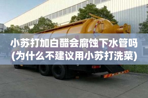 小蘇打加白醋會腐蝕下水管嗎(為什么不建議用小蘇打洗菜)