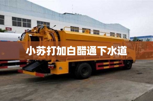 小蘇打加白醋通下水道