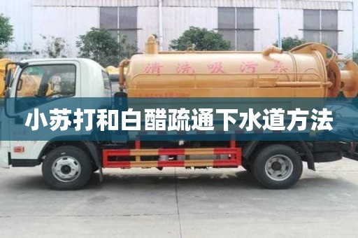 小蘇打和白醋疏通下水道方法
