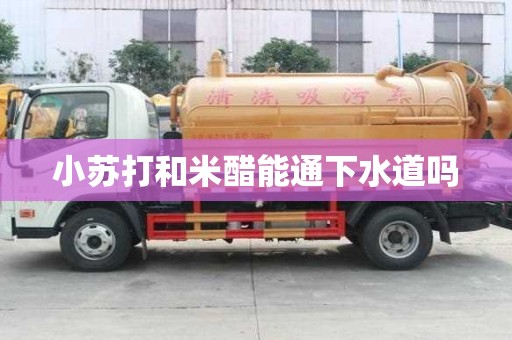 小蘇打和米醋能通下水道嗎