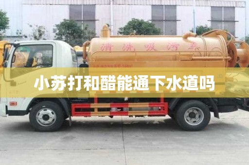 小蘇打和醋能通下水道嗎