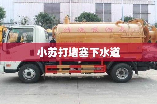 小蘇打堵塞下水道