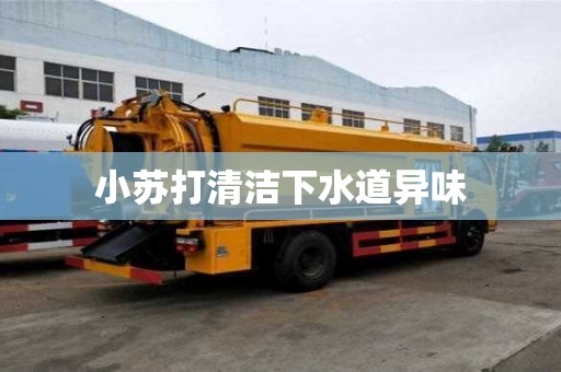 小蘇打清潔下水道異味