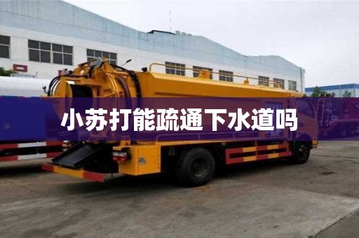 小蘇打能疏通下水道嗎