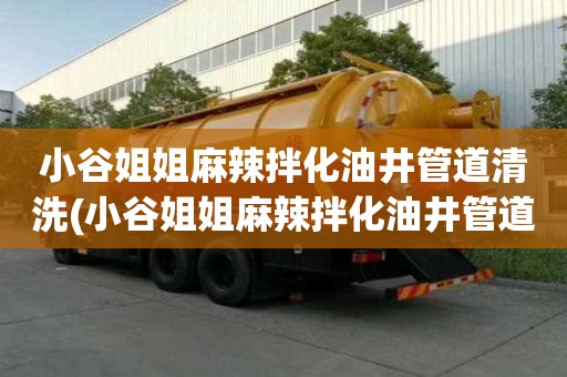 小谷姐姐麻辣拌化油井管道清洗(小谷姐姐麻辣拌化油井管道清洗電話號碼)