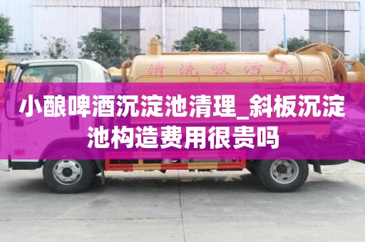 小釀啤酒沉淀池清理_斜板沉淀池構造費用很貴嗎