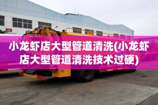 小龍蝦店大型管道清洗(小龍蝦店大型管道清洗技術過硬)