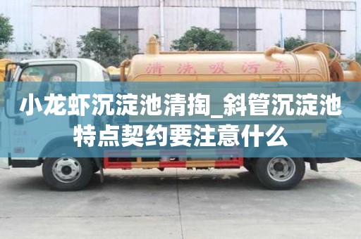 小龍蝦沉淀池清掏_斜管沉淀池特點契約要注意什么