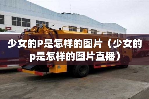 少女的P是怎樣的圖片（少女的p是怎樣的圖片直播）
