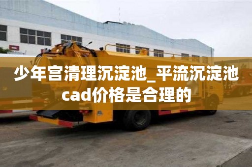 少年宮清理沉淀池_平流沉淀池cad價格是合理的