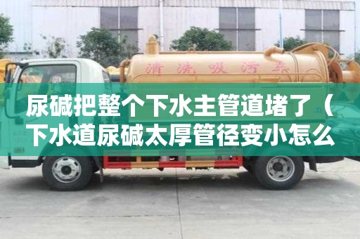 尿堿把整個下水主管道堵了（下水道尿堿太厚管徑變小怎么辦）