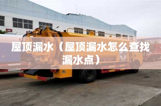 屋頂漏水（屋頂漏水怎么查找漏水點）