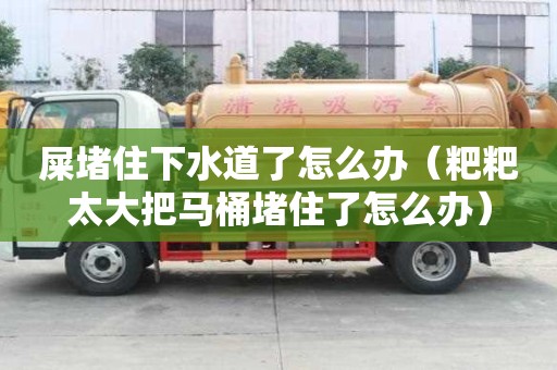 屎堵住下水道了怎么辦（粑粑太大把馬桶堵住了怎么辦）