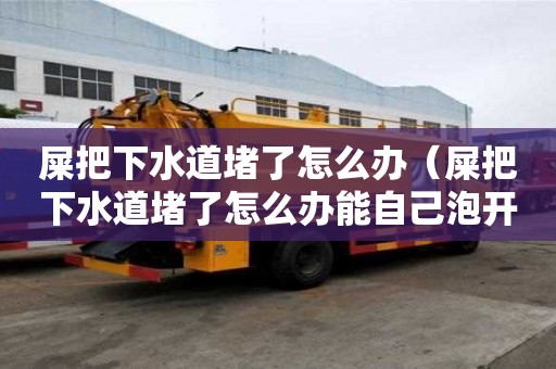 屎把下水道堵了怎么辦（屎把下水道堵了怎么辦能自己泡開嗎）