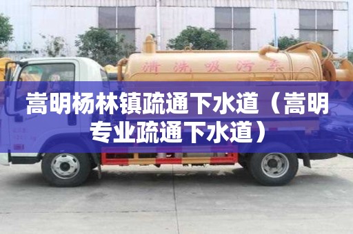 嵩明楊林鎮疏通下水道（嵩明專業疏通下水道）
