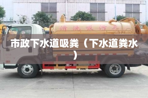 市政下水道吸糞（下水道糞水）