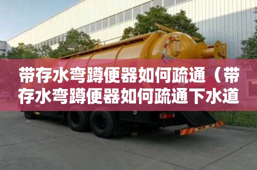 帶存水彎蹲便器如何疏通（帶存水彎蹲便器如何疏通下水道）