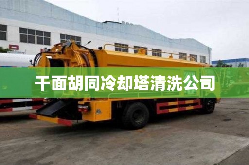 干面胡同冷卻塔清洗公司