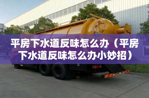 平房下水道反味怎么辦（平房下水道反味怎么辦小妙招）