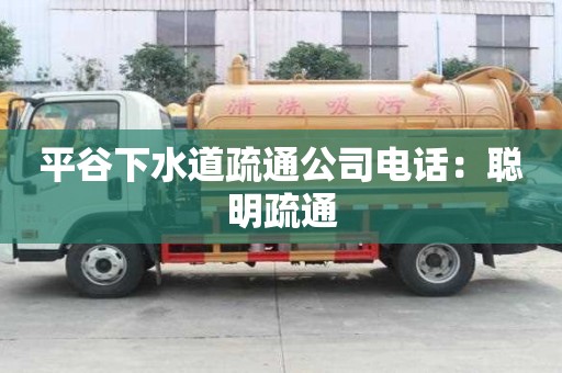平谷下水道疏通公司電話：聰明疏通