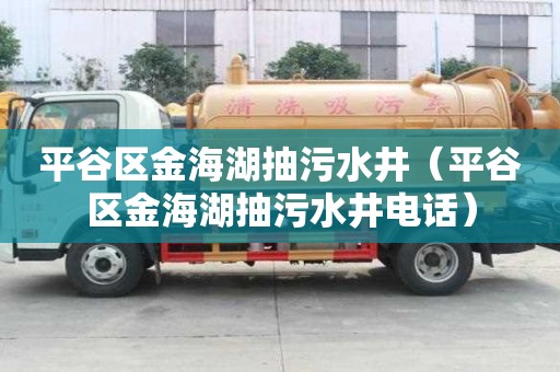 平谷區金海湖抽污水井（平谷區金海湖抽污水井電話）