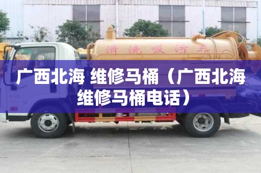 廣西北海 維修馬桶（廣西北海 維修馬桶電話）