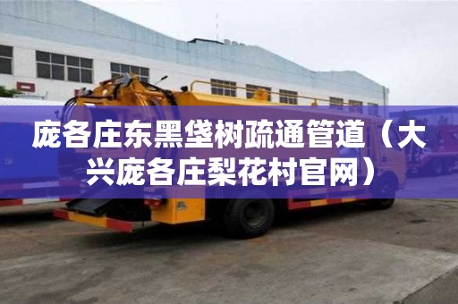 龐各莊東黑垡樹疏通管道（大興龐各莊梨花村官網）