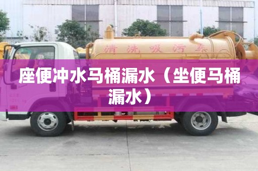 座便沖水馬桶漏水（坐便馬桶漏水）