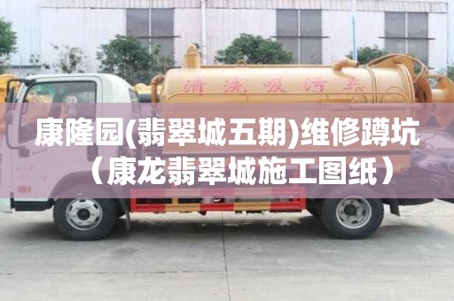康隆園(翡翠城五期)維修蹲坑（康龍翡翠城施工圖紙）