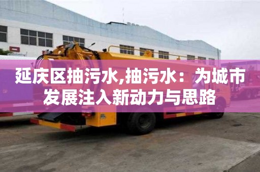 延慶區抽污水,抽污水：為城市發展注入新動力與思路