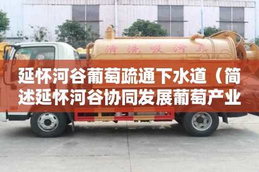 延懷河谷葡萄疏通下水道（簡述延懷河谷協同發展葡萄產業對區域經濟的影響）