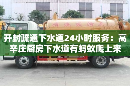 開封疏通下水道24小時服務：高辛莊廚房下水道有螞蟻爬上來怎么清除