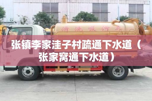 張鎮李家洼子村疏通下水道（張家窩通下水道）