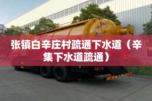 張鎮白辛莊村疏通下水道（辛集下水道疏通）