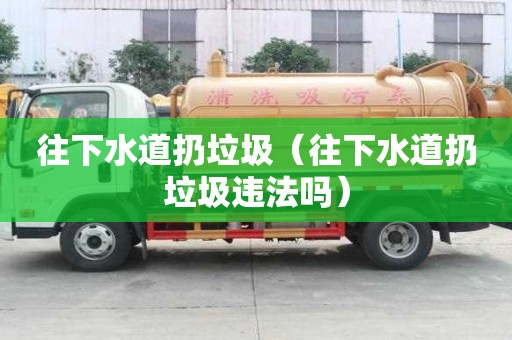 往下水道扔垃圾（往下水道扔垃圾違法嗎）