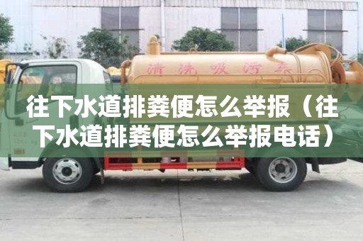往下水道排糞便怎么舉報（往下水道排糞便怎么舉報電話）
