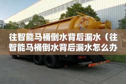 往智能馬桶倒水背后漏水（往智能馬桶倒水背后漏水怎么辦）