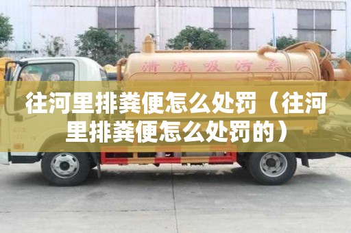 往河里排糞便怎么處罰（往河里排糞便怎么處罰的）