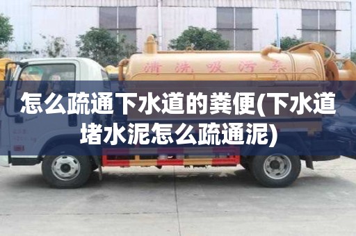 怎么疏通下水道的糞便(下水道堵水泥怎么疏通泥)