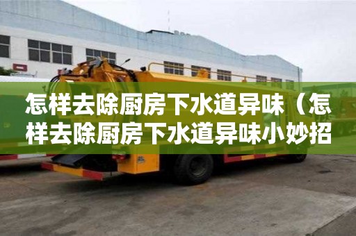 怎樣去除廚房下水道異味（怎樣去除廚房下水道異味小妙招）