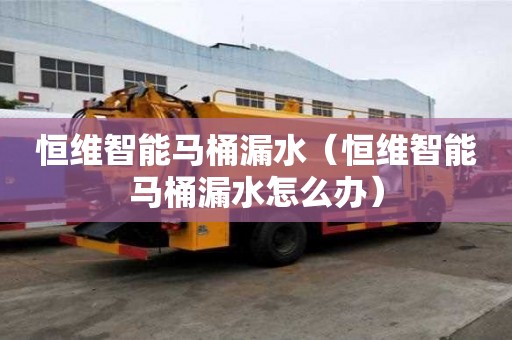 恒維智能馬桶漏水（恒維智能馬桶漏水怎么辦）