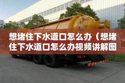想堵住下水道口怎么辦（想堵住下水道口怎么辦視頻講解圖片）
