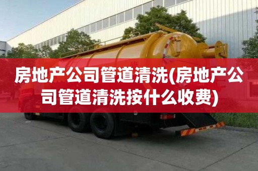 房地產公司管道清洗(房地產公司管道清洗按什么收費)
