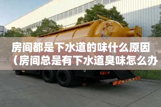 房間都是下水道的味什么原因（房間總是有下水道臭味怎么辦）
