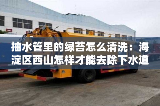 抽水管里的綠苔怎么清洗：海淀區西山怎樣才能去除下水道臭味