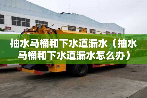 抽水馬桶和下水道漏水（抽水馬桶和下水道漏水怎么辦）