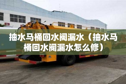 抽水馬桶回水閥漏水（抽水馬桶回水閥漏水怎么修）