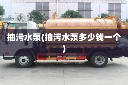 抽污水泵(抽污水泵多少錢一個)