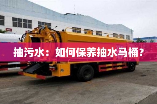 抽污水：如何保養抽水馬桶？
